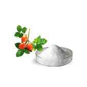 dược phẩm in Việt Nam - Product catalog, buy wholesale and retail at https://vn.all.biz