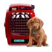 pets & zoostuff in Australia - Service catalog, order wholesale and retail at https://au.all.biz